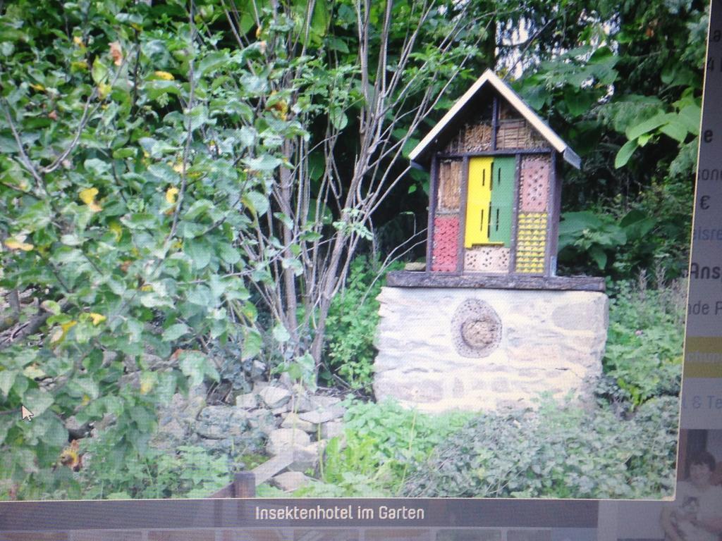 Ferienwohnung Dietlinde Bad Blankenburg Rum bild