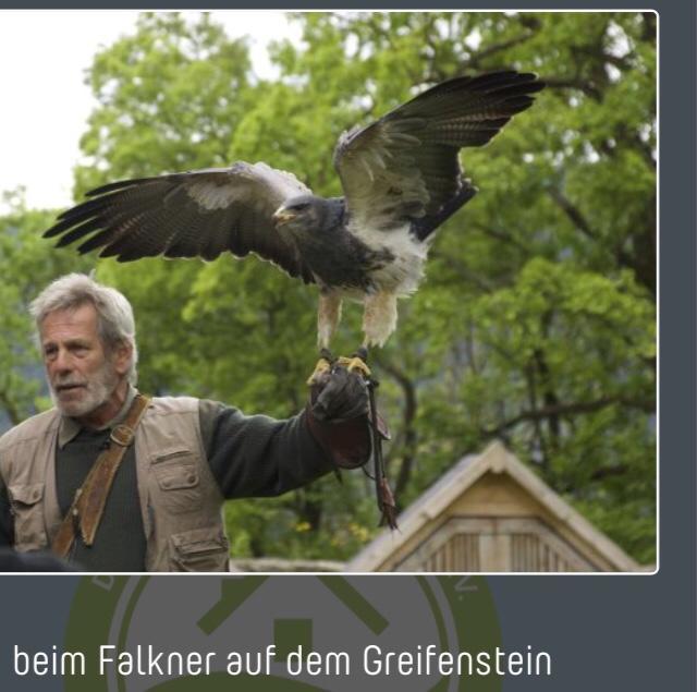 Ferienwohnung Dietlinde Bad Blankenburg Exteriör bild
